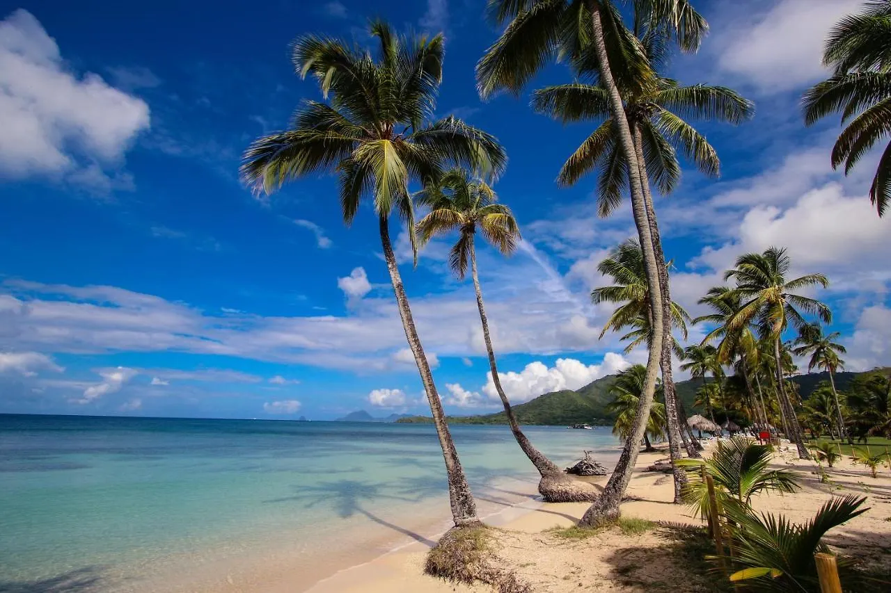 Kontakte von Residence Tobago Saint Anne